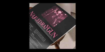 Times New Roman Font Poster 7